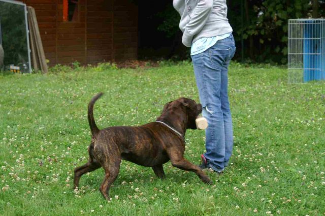 obeissance 2014-08-02